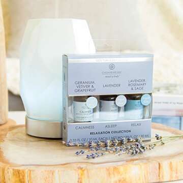 Chesapeake Bay Candle 100% Pure Essential Diffuser Oils Relaxation Set (Alseep, Calmness, Relax) (3-Pack)