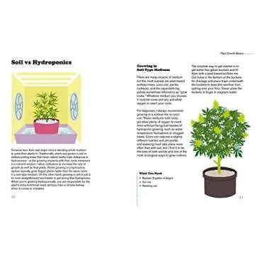 Beginner's Guide to Growing Marijuana with Expert Tips