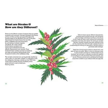 Beginner's Guide to Growing Marijuana with Expert Tips