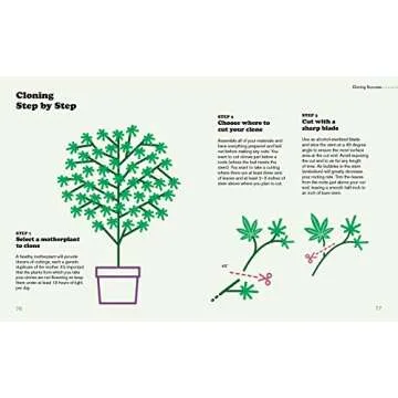 Beginner's Guide to Growing Marijuana with Expert Tips