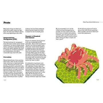 Beginner's Guide to Growing Marijuana with Expert Tips