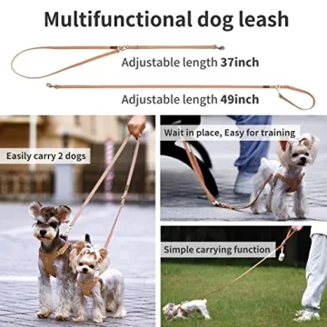 Stylish No Pull Dog Harness with Adjustable Fit for Dogs