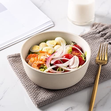 AmorArc 26oz Stoneware Bowls Set - Durable & Microwave Safe