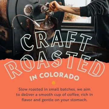 Clean Coffee Co. - Low Acid Medium-Dark Roast, Tested for Molds and Toxins, Papua New Guinea Blend, Notes of Milk Chocolate and Roasted Almonds (Ground, 12 oz Bag)