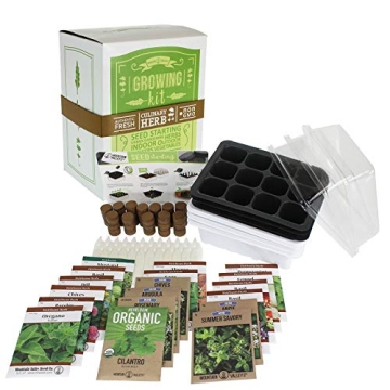Grow Fresh Herbs Year-Round with Our Starter Kit