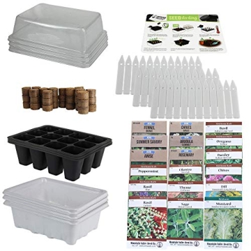 Grow Fresh Herbs Year-Round with Our Starter Kit