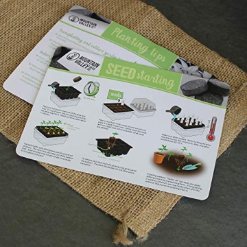 Grow Fresh Herbs Year-Round with Our Starter Kit