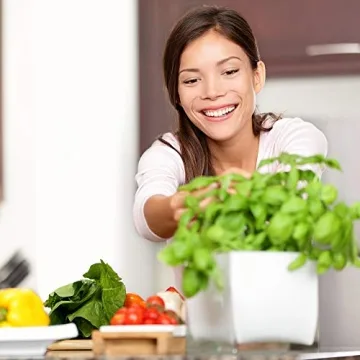 Grow Fresh Herbs Year-Round with Our Starter Kit