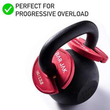 Bar Jak Micro Plates. 1 KG / 2.2 LBS Dumbell Fractional Weight Plate, x4 Pieces, Dumbell Weights, Kettlebell weights Training, Strength Training Micro Plates Weight Plate