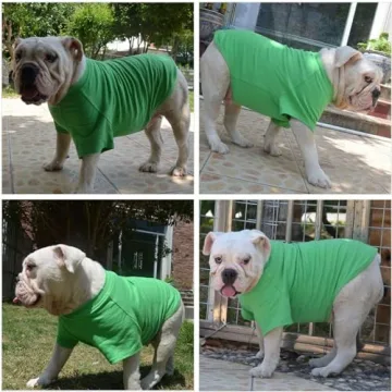 Lovelonglong Bulldog 100% Cotton Dog T-Shirt in Green