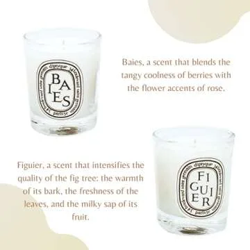 Diptyque Set of 5 Home Scented Aromatherapy Wax Candles - Travel Size, Small Scended Candles Holiday Gift Set: Baies, Roses, Figuier, Feuille de Lavande, Feu de Bois