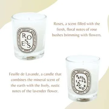 Diptyque Set of 5 Home Scented Aromatherapy Wax Candles - Travel Size, Small Scended Candles Holiday Gift Set: Baies, Roses, Figuier, Feuille de Lavande, Feu de Bois