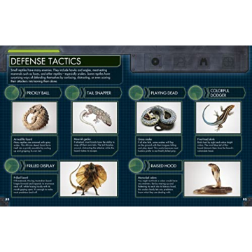 Everything About Snakes for Kids 4-8 Years