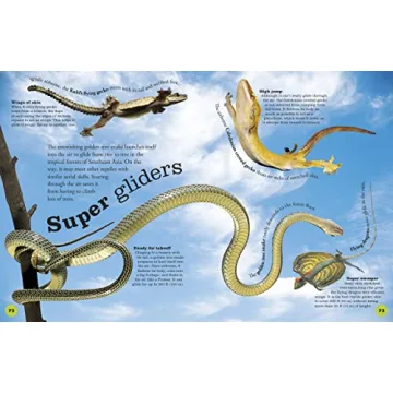 Everything About Snakes for Kids 4-8 Years