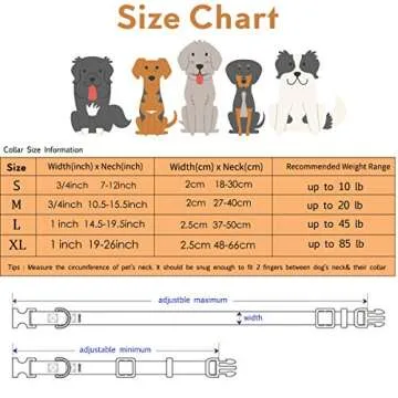 Impoosy Stylish Dog Collar and Leash Set for Pets