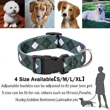 Impoosy Stylish Dog Collar and Leash Set for Pets