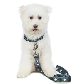 Impoosy Stylish Dog Collar and Leash Set for Pets