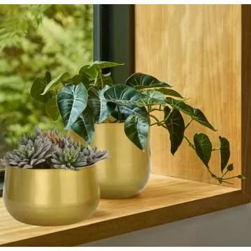 Vixdonos Gold Metal Flower Pots for Beautiful Plants