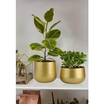 Vixdonos Gold Metal Flower Pots for Beautiful Plants