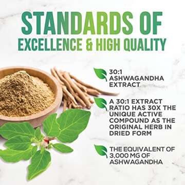 Ashwagandha Gummies for Women & Men, 3000mg Equivalent, Vegan, Plant Based, Non-GMO, Gluten-Free & Gelatin Free, Ashwagandha Supplement for Natural Antioxidant Support, Ashwa Root Extract - 60 Gummies