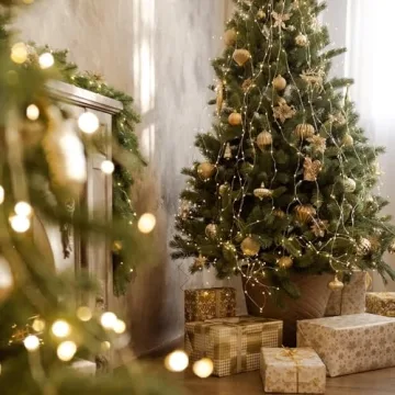 66Ft 200 LED Fairy Lights Plug in, Waterproof String Lights Outdoor 8 Modes Christmas Lights Bedroom Decor, Twinkle Lights for Girl's Room Garden Halloween Christmas Decorations (Warm White)