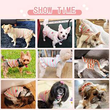 PETPUBGNZS Cute Dog Dress for Small Dogs Girl Birthday Puppy Clothes Spring Summer Dog Outfits Rainbow Colorful Striped Cherry Princess Pet Tutu Skirt Doggie Cat Chihuahua Yorkies Dresses