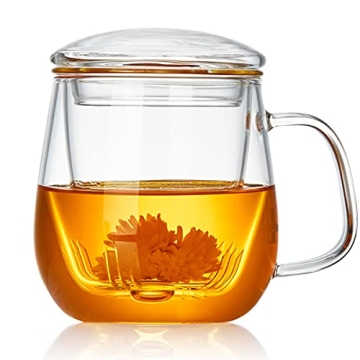 DOPUDO 17.6oz Borosilicate Glass Tea Cup with Infuser