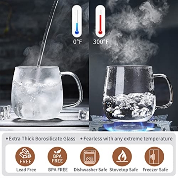 DOPUDO 17.6oz Borosilicate Glass Tea Cup with Infuser