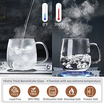 DOPUDO 17.6oz Borosilicate Glass Tea Cup with Infuser