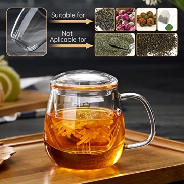 DOPUDO 17.6oz Borosilicate Glass Tea Cup with Infuser