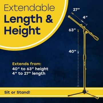 Hola Music Mic Stand with Adjustable Height for Musicians