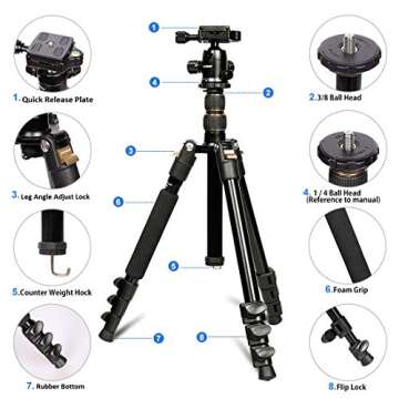 GWNNSH Camera Lightweight Travel Tripod, 58” Detachable Monopod, Aluminum Ball Head Stand 3 X Control Knobs with Calibration, DSLR QR Plate, Level Indicator, Flip Lock Design. Dare to Compare