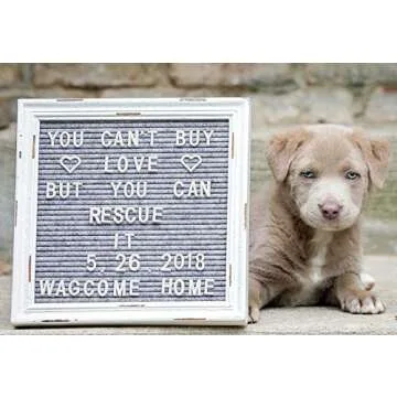 Gray Felt Letter Board Back to School Sign with Rustic Wood White Frame - Grey Farmhouse Letter Board Sign with Stand - Baby Announcement 10x10 Felt Board Changeable Message Board with 350 Letter Set