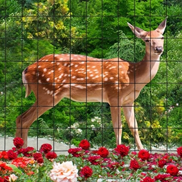 Durable Black PVC Coated Welded Wire Fence 36" x 50'