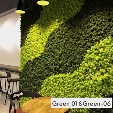 Prefleur Preserved Reindeer Moss DIY Kit for Garden Decor