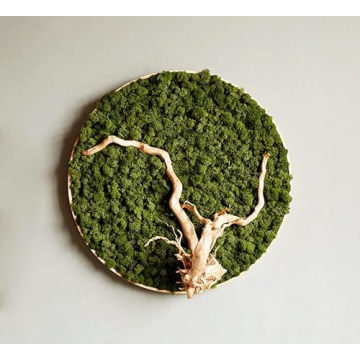 Prefleur Preserved Reindeer Moss DIY Kit for Garden Decor