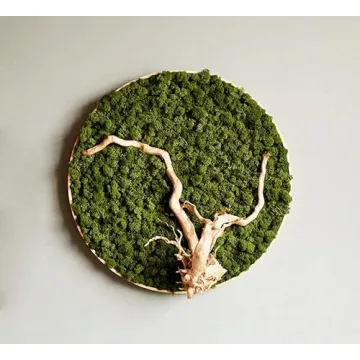 Prefleur Preserved Reindeer Moss DIY Kit for Garden Decor