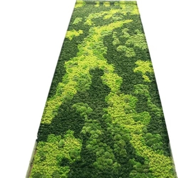 Prefleur Preserved Reindeer Moss DIY Kit for Garden Decor