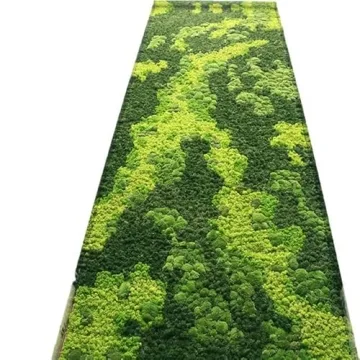 Prefleur Preserved Reindeer Moss DIY Kit for Garden Decor