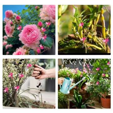 STDKDFW Plant Orchid Clip,120 PCS Dragonfly Orchid Clip, Vine Clip Plant Clip for Supporting Stems O...