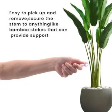 STDKDFW Plant Orchid Clip,120 PCS Dragonfly Orchid Clip, Vine Clip Plant Clip for Supporting Stems Orchid Vines Stalks Climbing Plants Grow Uprigh Portable Cute Flower (Rose Red)