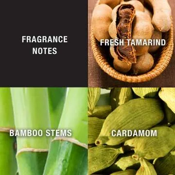 Lucky You Men's Cologne Spray 3.4 Fl Oz