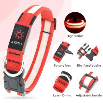 Vizpet LED Dog Collar - Bright, Rechargeable & Adjustable
