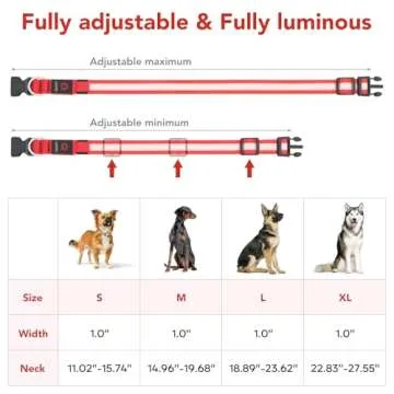 Vizpet LED Dog Collar - Bright, Rechargeable & Adjustable