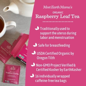 Earth Mama Organic Raspberry Leaf Tea for Pregnant Women