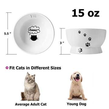 Y YHY Cat Bowl, 15 Ounce Cat Water Bowl, Raised Ceramic Cat Food Bowl, Elevated Cat Dog Dish No Spil...