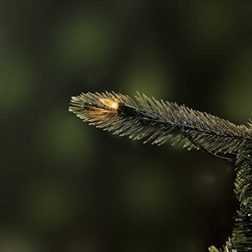 Evergreen Classics 6.5 ft Pre-Lit Christmas Tree with Remote