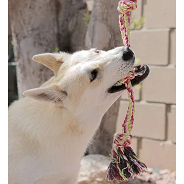 Pacific Pups 18 Piece Dog Toy Pack for Happy Pups