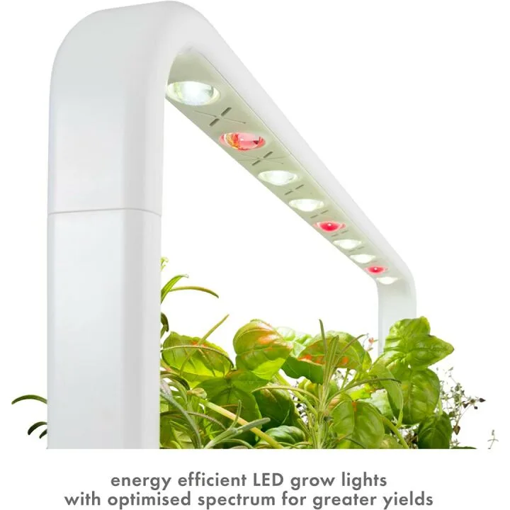 Indoor Herb Garden Kit with Grow Light for Easy Gardening