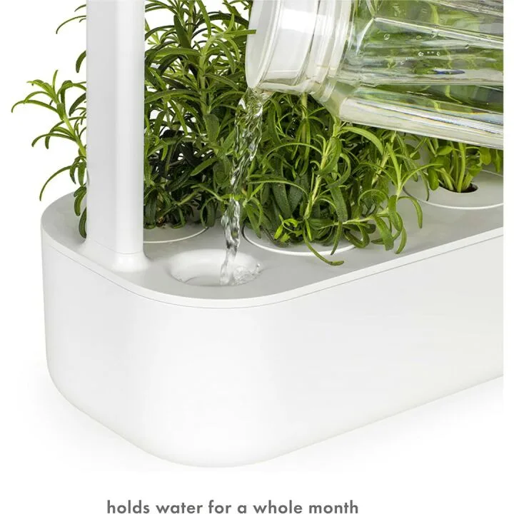 Indoor Herb Garden Kit with Grow Light for Easy Gardening